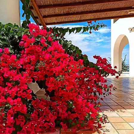 Asinelloisland - Vacanze A * Lipari (Isola Lipari)